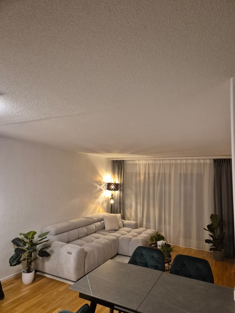 Länggasse/Bern - Ricercasi subaffittuario dal 1 settembre. Appartamento 2 locali moderno con ampio balcone (6)