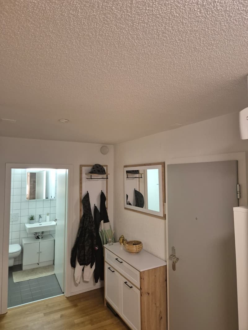 Länggasse/Bern - Ricercasi subaffittuario dal 1 settembre. Appartamento 2 locali moderno con ampio balcone (4)