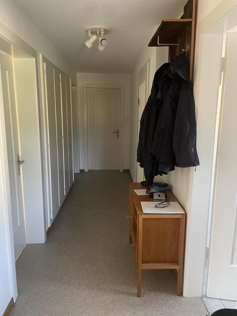 Chambre conviviale en colocation (en sous-locataire) à Seewen SZ, calme, abordable & avec parking (9)