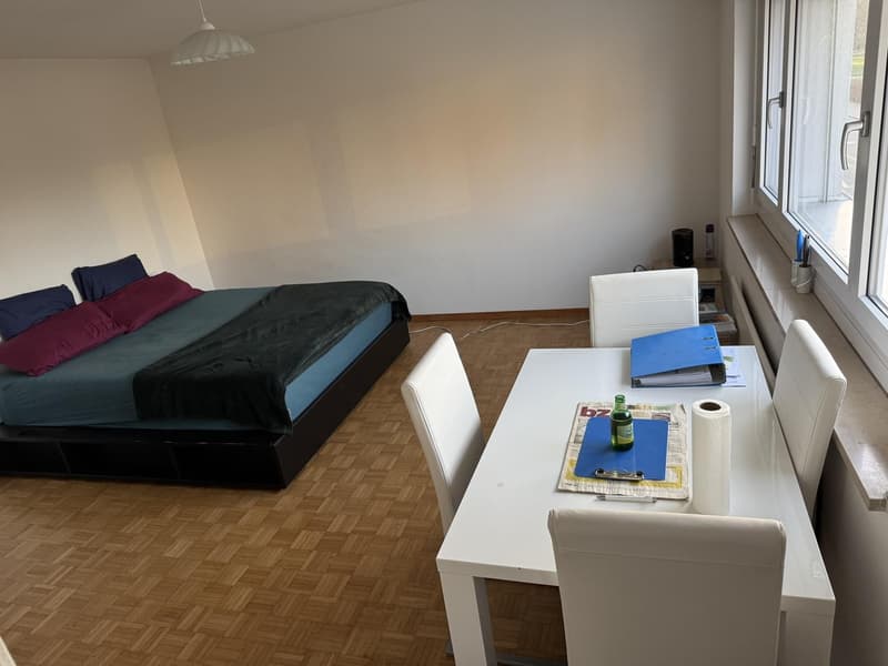 1 ½ rooms apartment, 4123 Allschwill (7)
