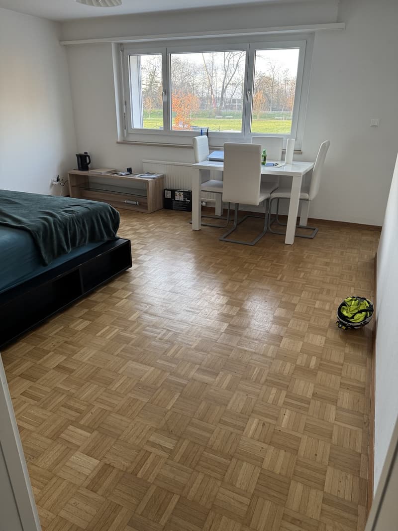 1 ½ rooms apartment, 4123 Allschwill (1)