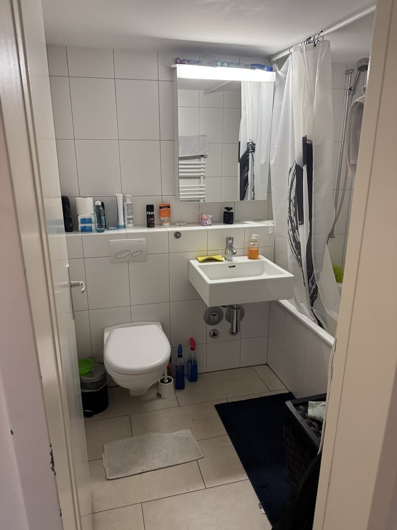 1 ½ rooms apartment, 4123 Allschwill (4)