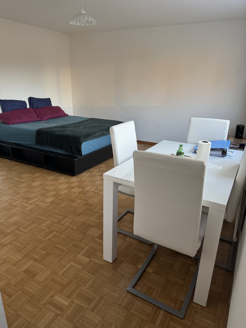 1 ½ rooms apartment, 4123 Allschwill (2)