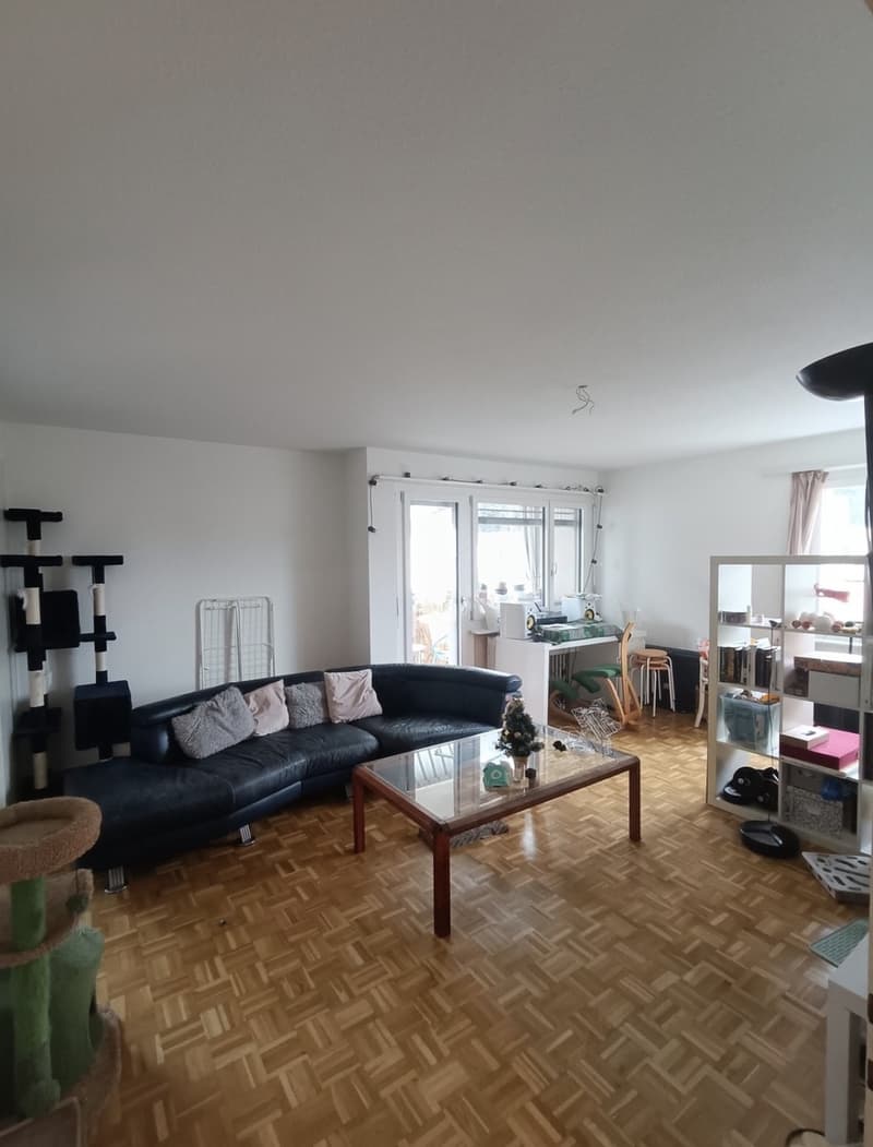 WG-Zimmer (8)