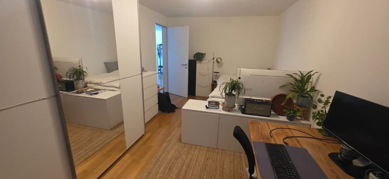 Room in Oerlikon for 1 person (6)