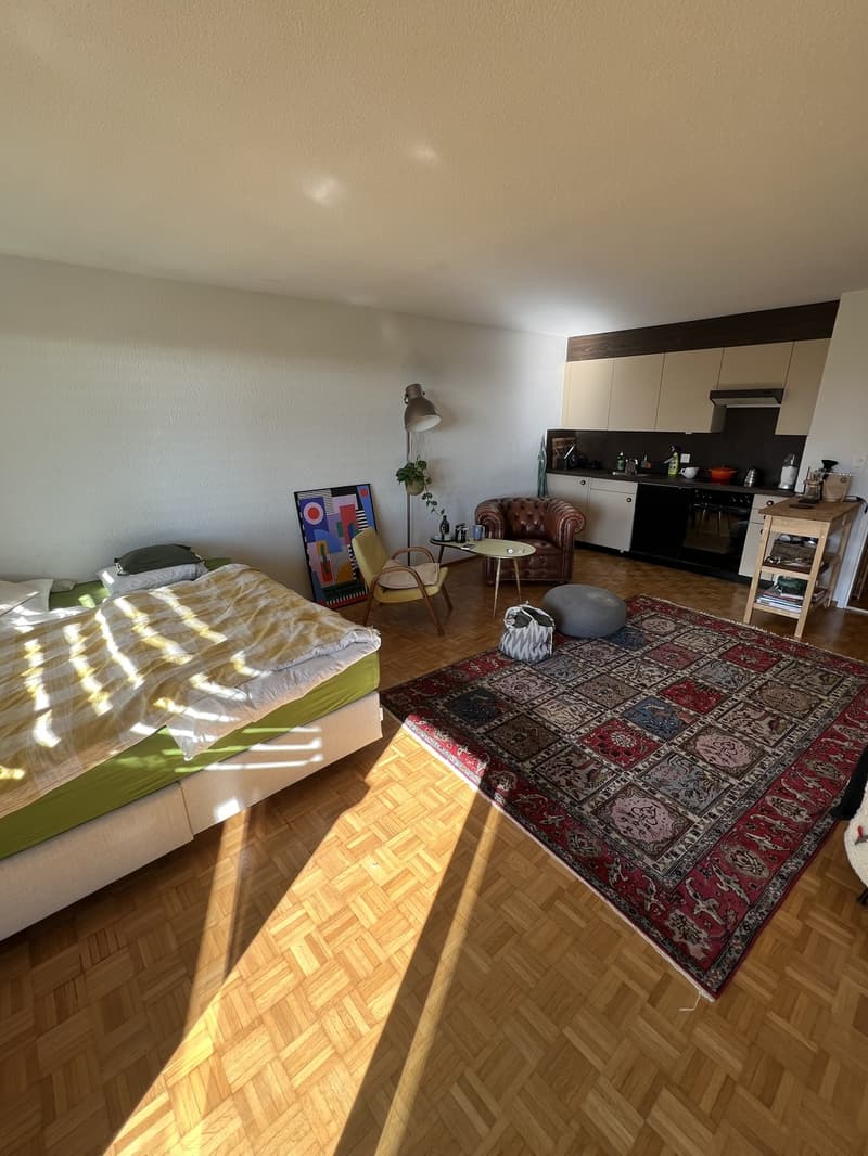 charming 1.5 Room Studio to rent (3)