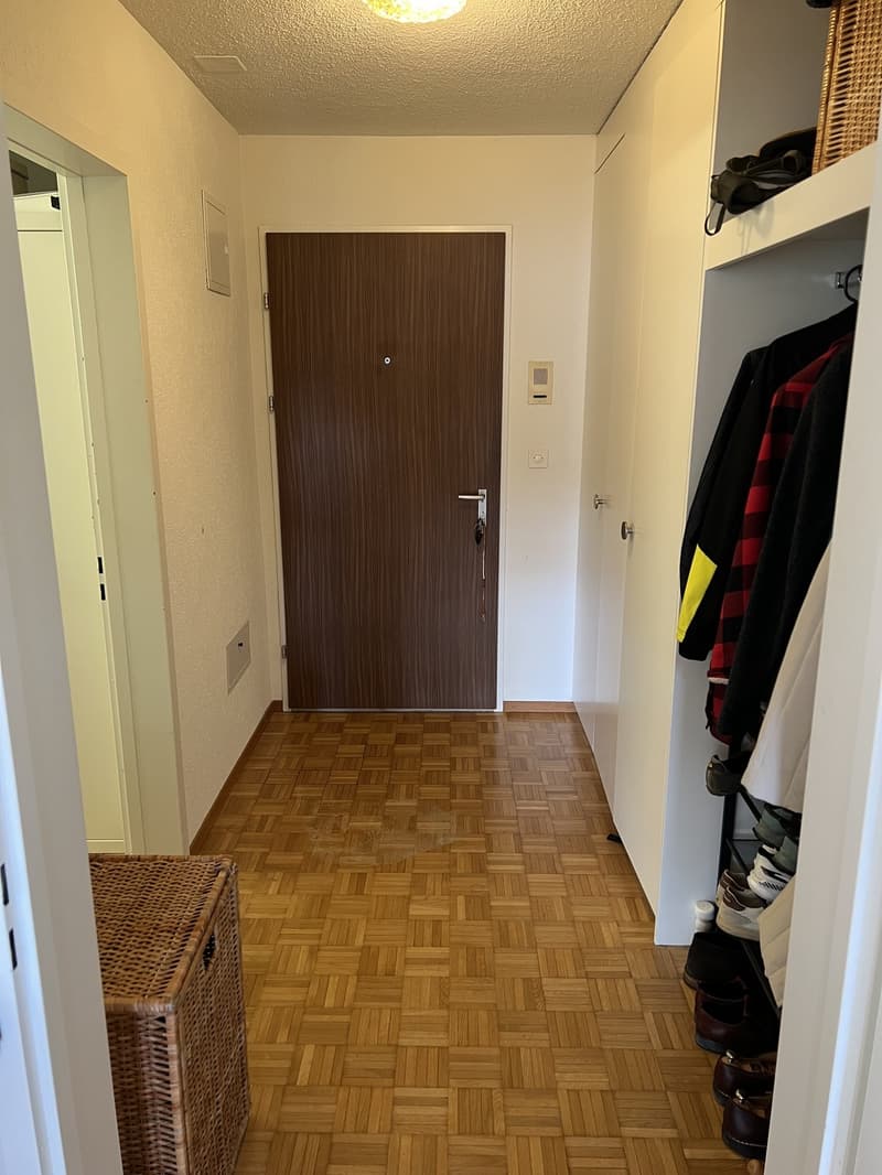 charming 1.5 Room Studio to rent (4)