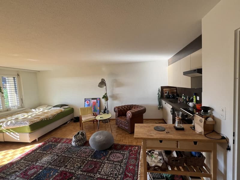 charming 1.5 Room Studio to rent (2)