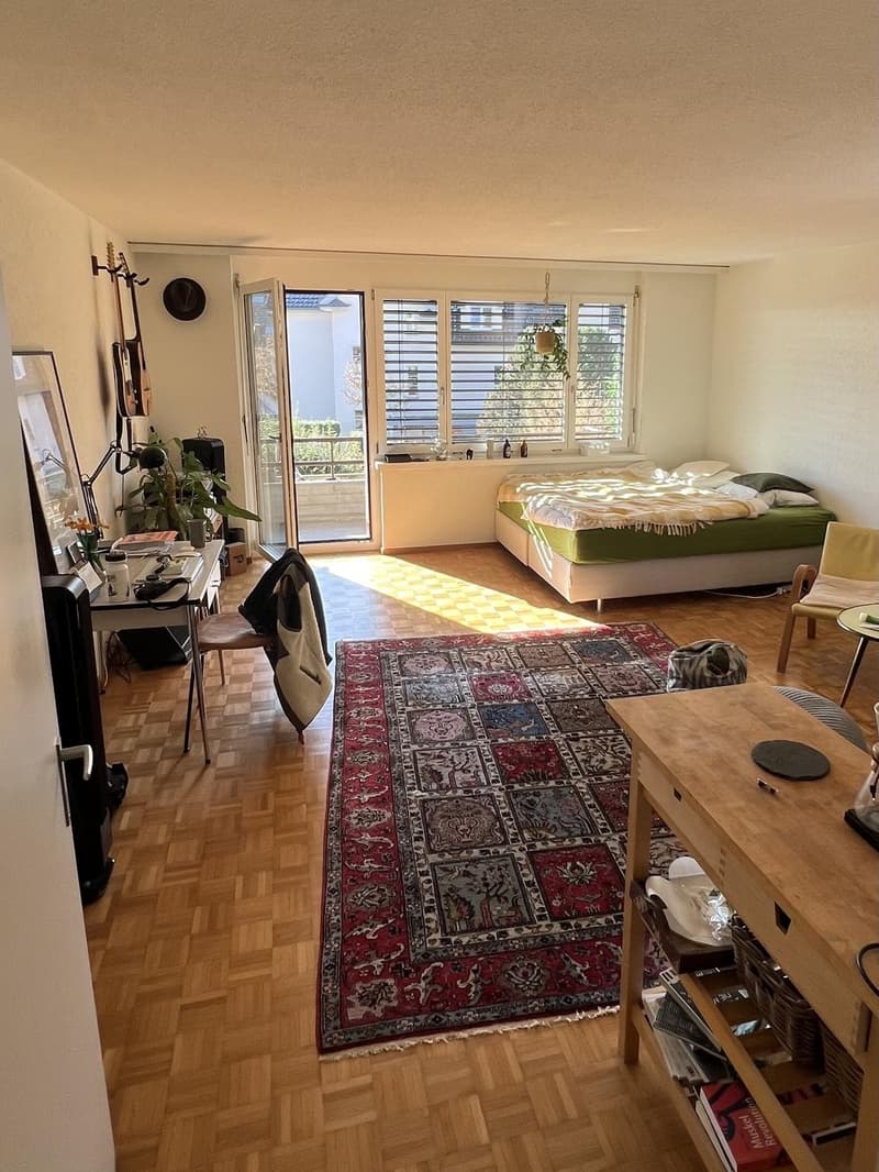 charming 1.5 Room Studio to rent (1)