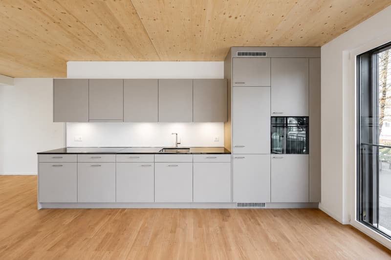 Appartement moderne de 3,5 pièces à Zurich Milchbuck avec patio privé (2)