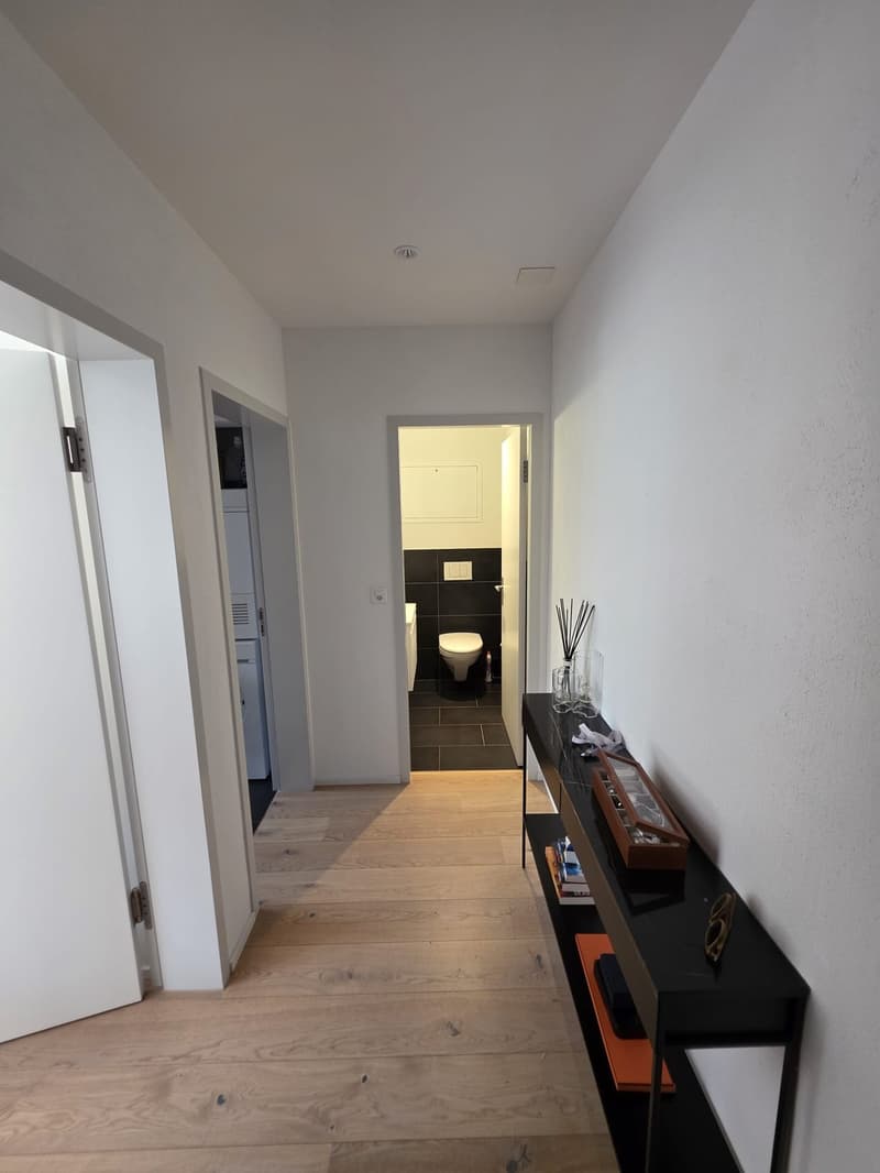 Appartement de centre-ville premium 4-5 mois, tout compris - Stauffacher - À quelques pas de tout (10)