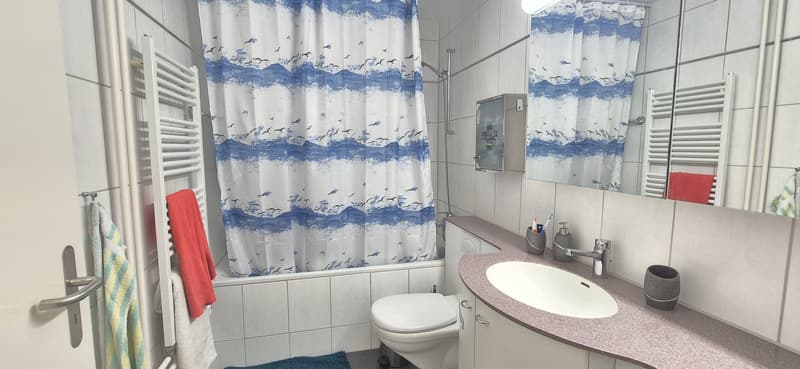Bright room in a quiet 2-person female shared apartment (6)