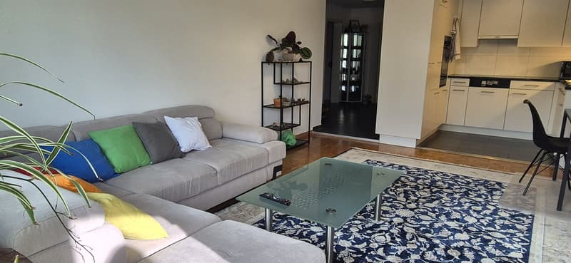 Bright room in a quiet 2-person female shared apartment (7)