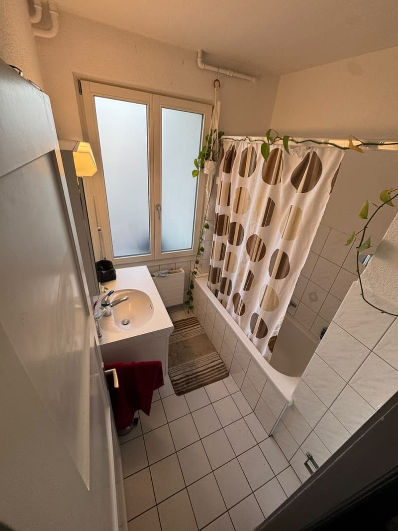 Chambre en colocation, 8500 Frauenfeld (11)