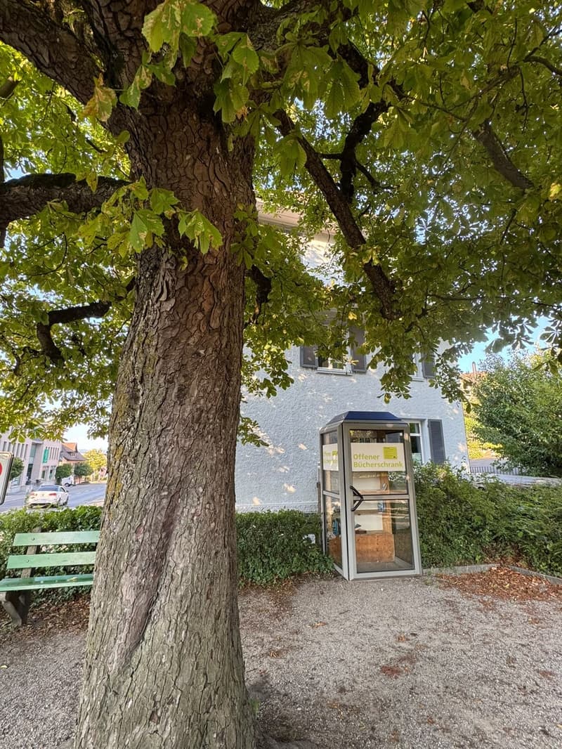 Chambre en colocation, 8500 Frauenfeld (6)