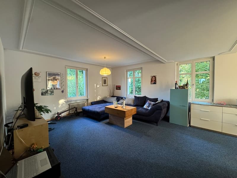 Chambre en colocation, 8500 Frauenfeld (2)