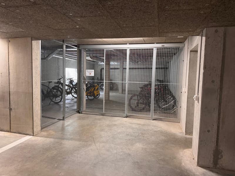 Appartamento nuovo di 3,5 locali luminoso con aree esterne spaziose e parcheggio ESH extra-large (13)