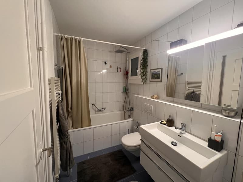 3 ½ Zimmer-Wohnung, 3005 Bern (8)
