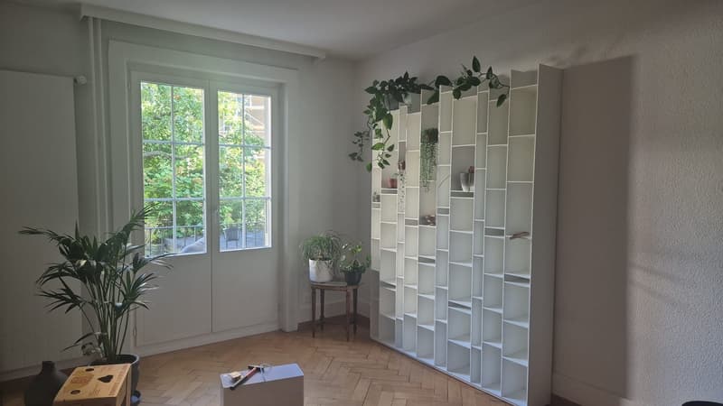 3 ½ Zimmer-Wohnung, 3005 Bern (1)