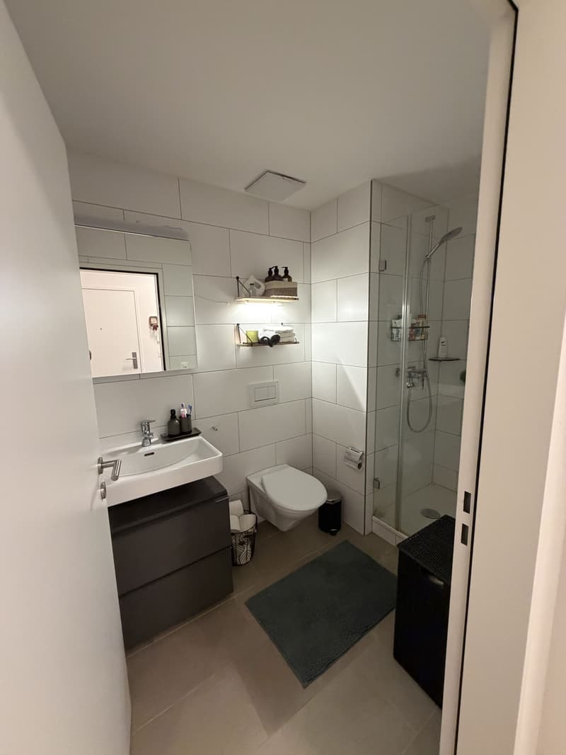 Modern 2.5-room apartment near Basel SBB | Balcony | Lift (7)