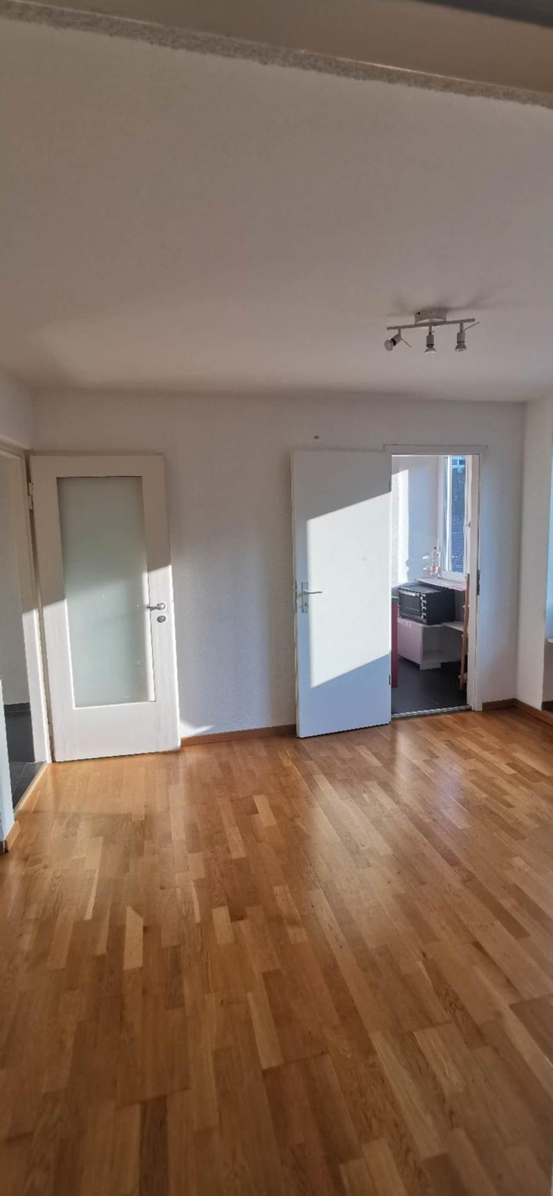 Zürichstrasse 46, appartamento 2 camere, 5° piano (4)