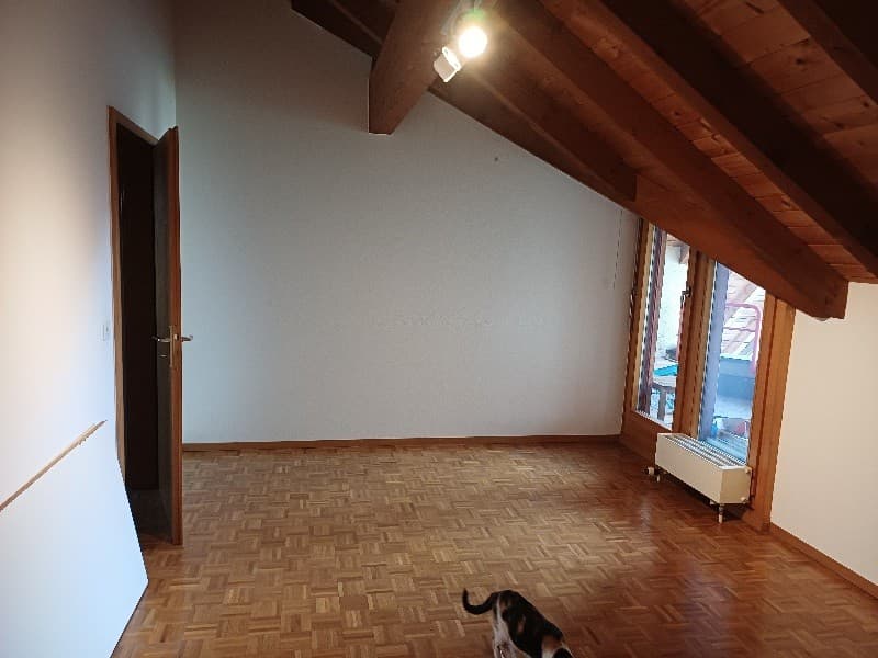 Großes Zimmer 18m2 mit Balkon im Zentrum von Freiburg (2)