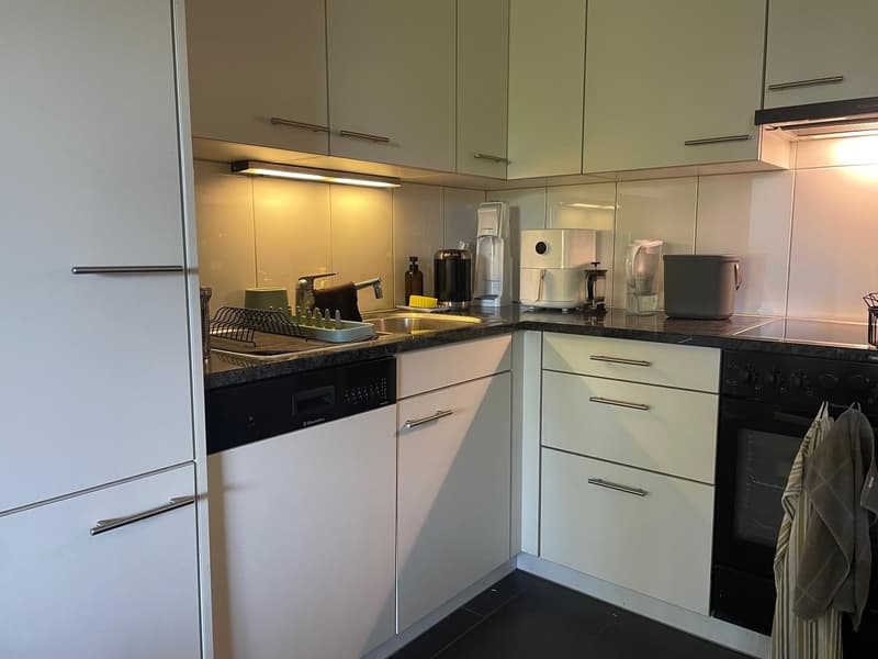 Subtenant sought for sunny 2.5-room garden apartment near ETH (5)
