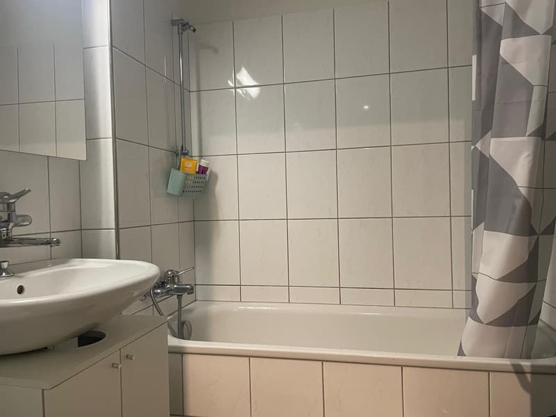 Subtenant sought for sunny 2.5-room garden apartment near ETH (6)