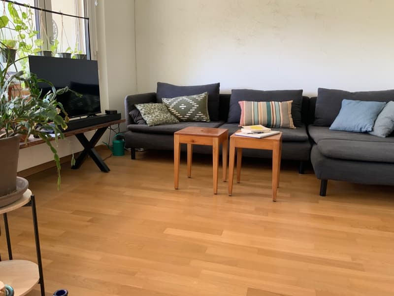 Subtenant sought for sunny 2.5-room garden apartment near ETH (4)
