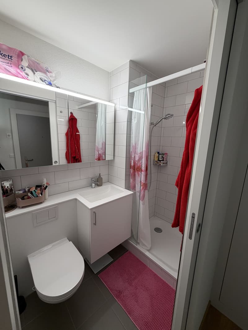 1-Zimmer Wohnung in Altstetten (6)