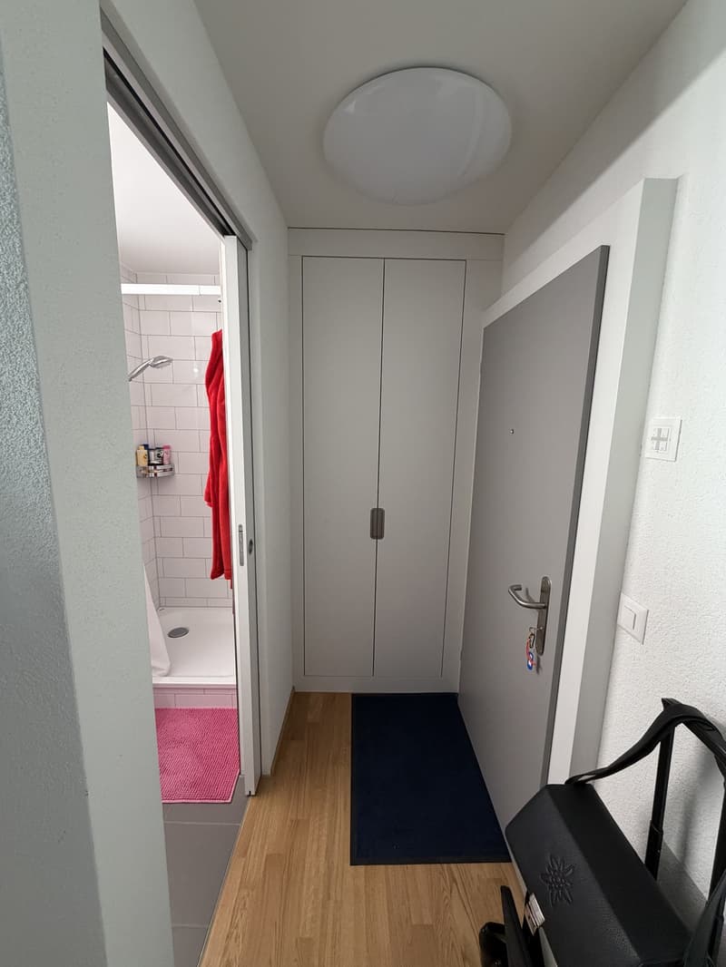 1-Zimmer Wohnung in Altstetten (5)