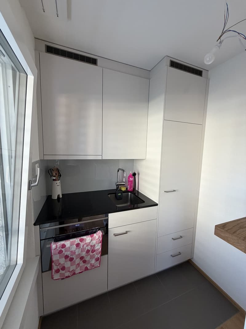 1-Zimmer Wohnung in Altstetten (4)