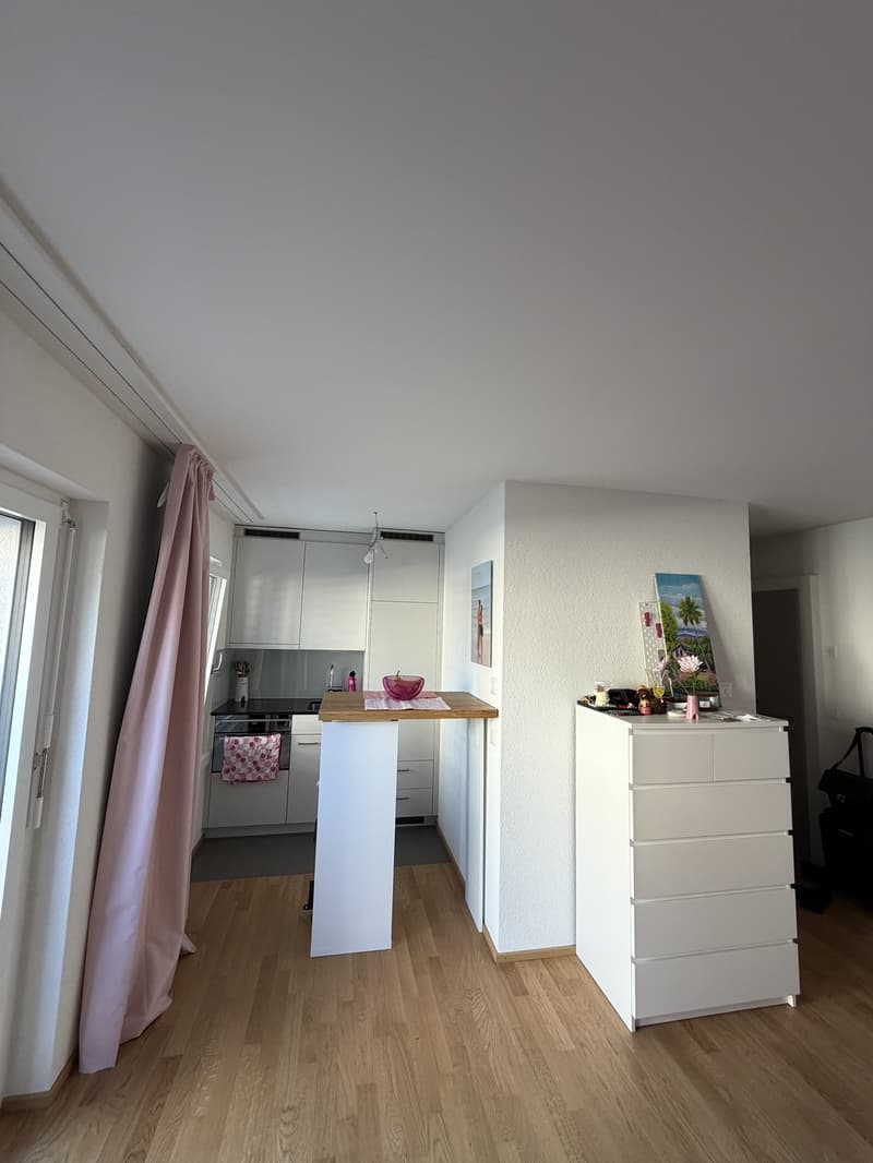 1-Zimmer Wohnung in Altstetten (3)