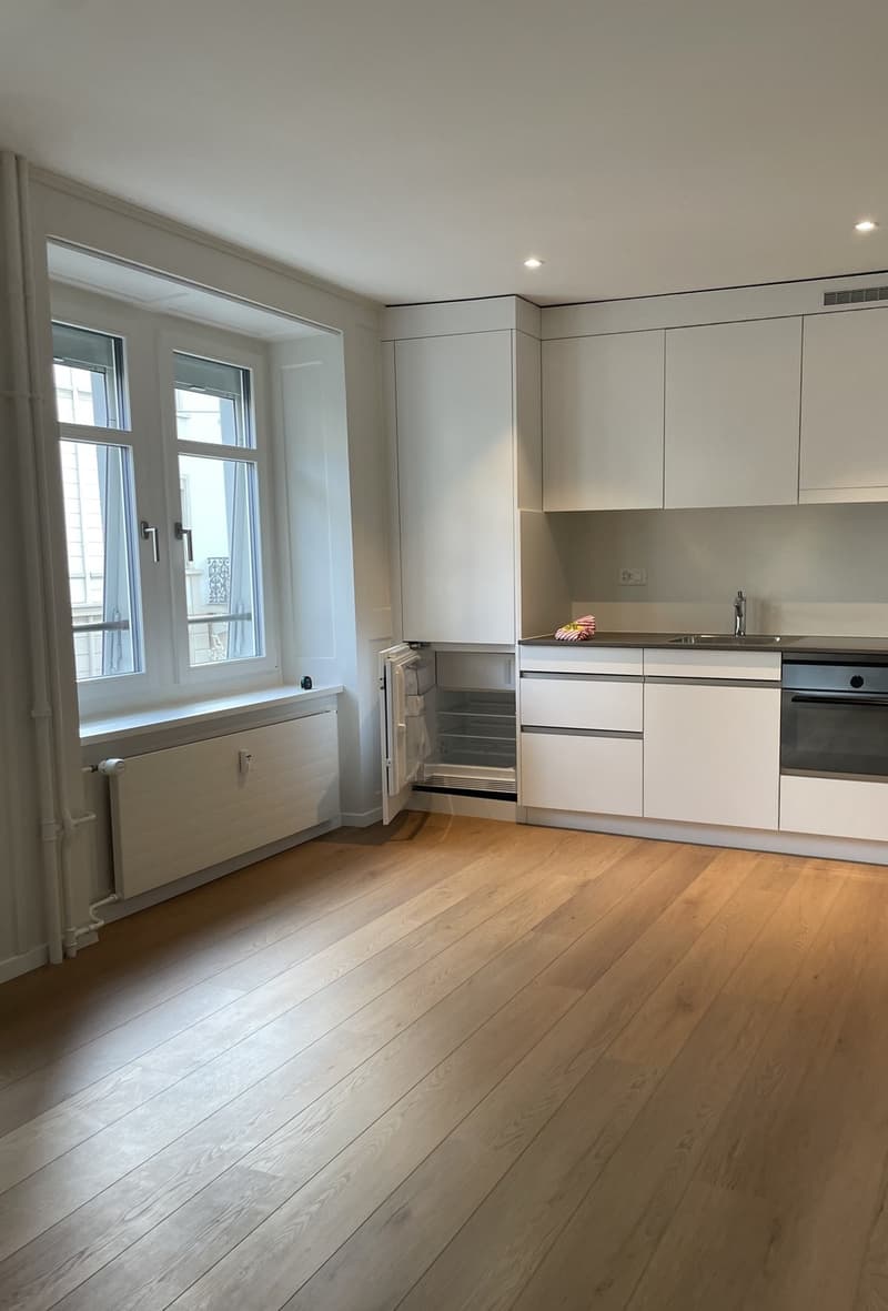 Charmant appartement meublé 1 pièce en excellent emplacement à Zurich (1)