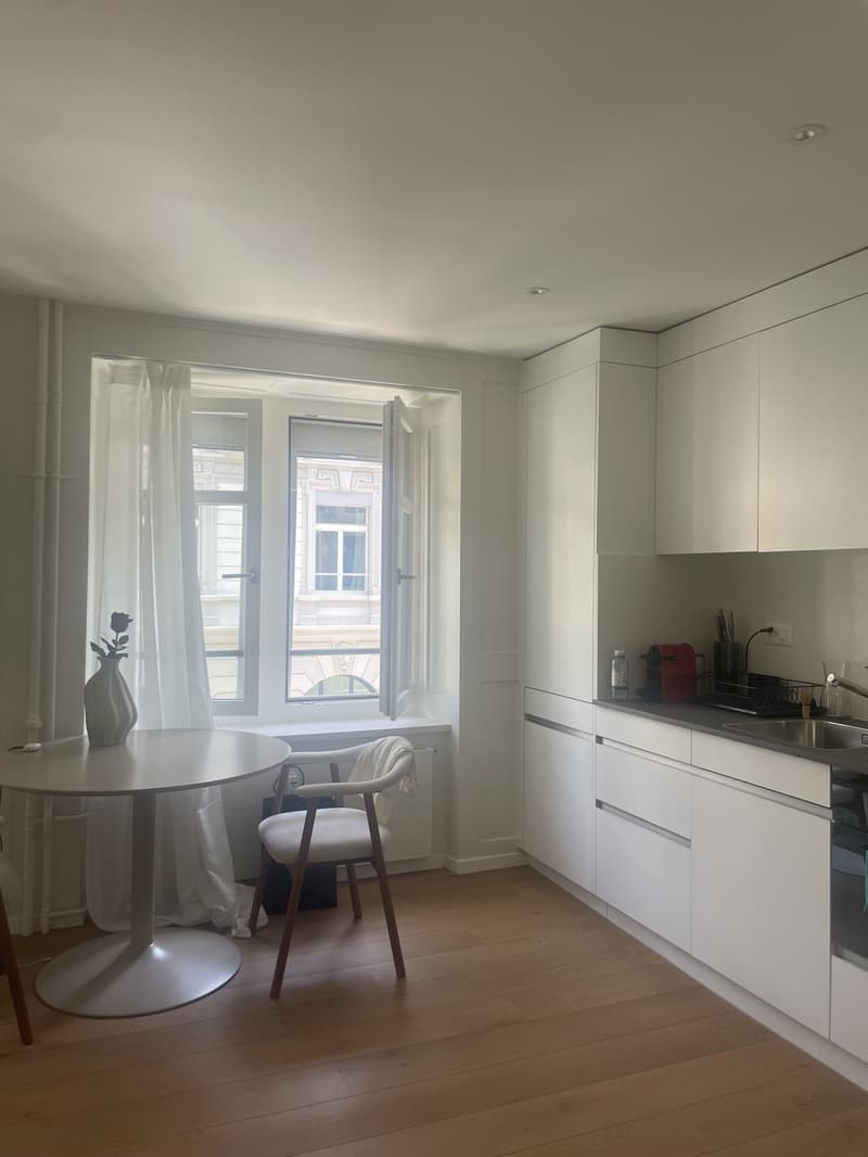 Charmant appartement meublé 1 pièce en excellent emplacement à Zurich (4)