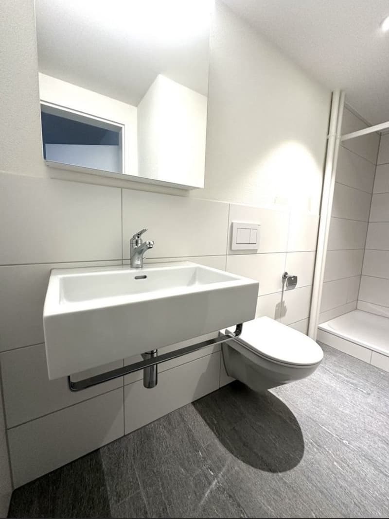 Charmant appartement meublé 1 pièce en excellent emplacement à Zurich (6)