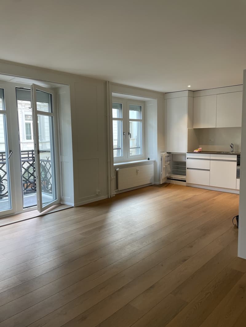 Charmant appartement meublé 1 pièce en excellent emplacement à Zurich (5)