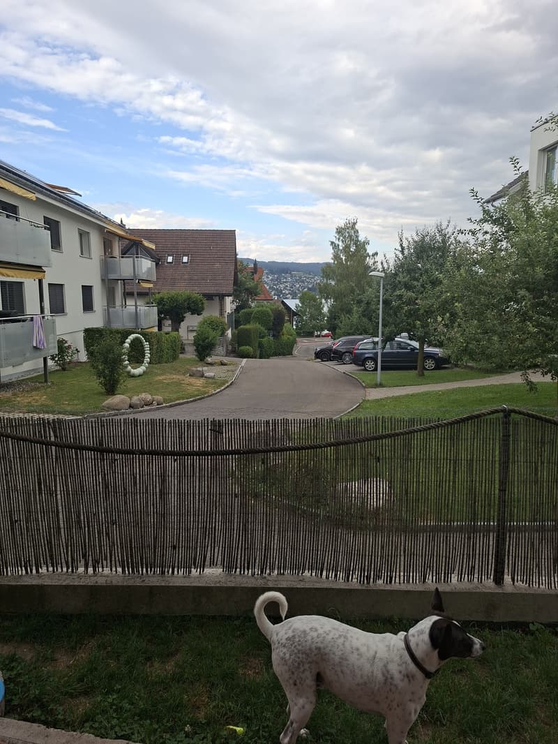 Camera in affitto, 8800 Thalwil (8)