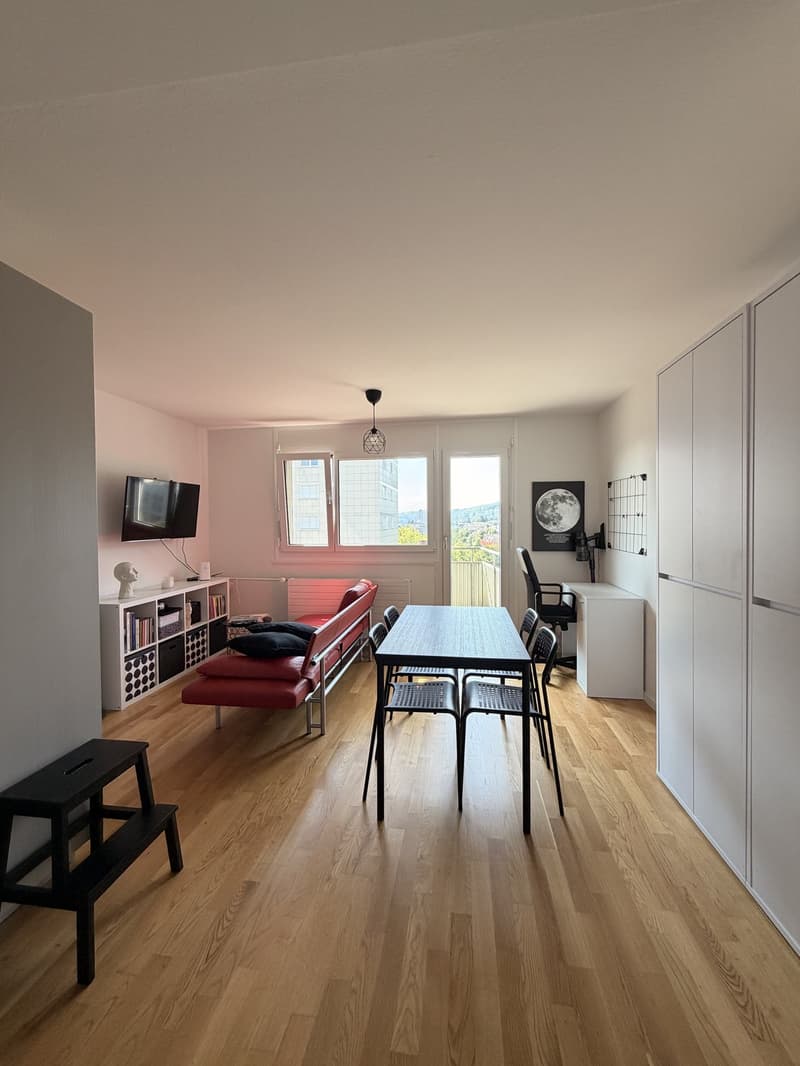 Cozy 2-room apartment with balcony and great view in Spreitenbach (3)