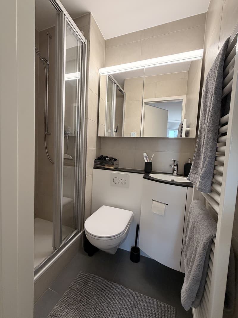 Cozy 2-room apartment with balcony and great view in Spreitenbach (5)