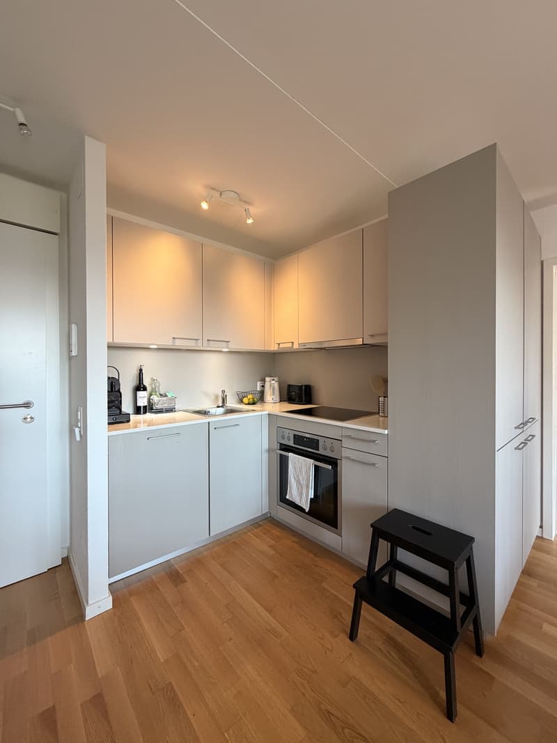 Cozy 2-room apartment with balcony and great view in Spreitenbach (1)