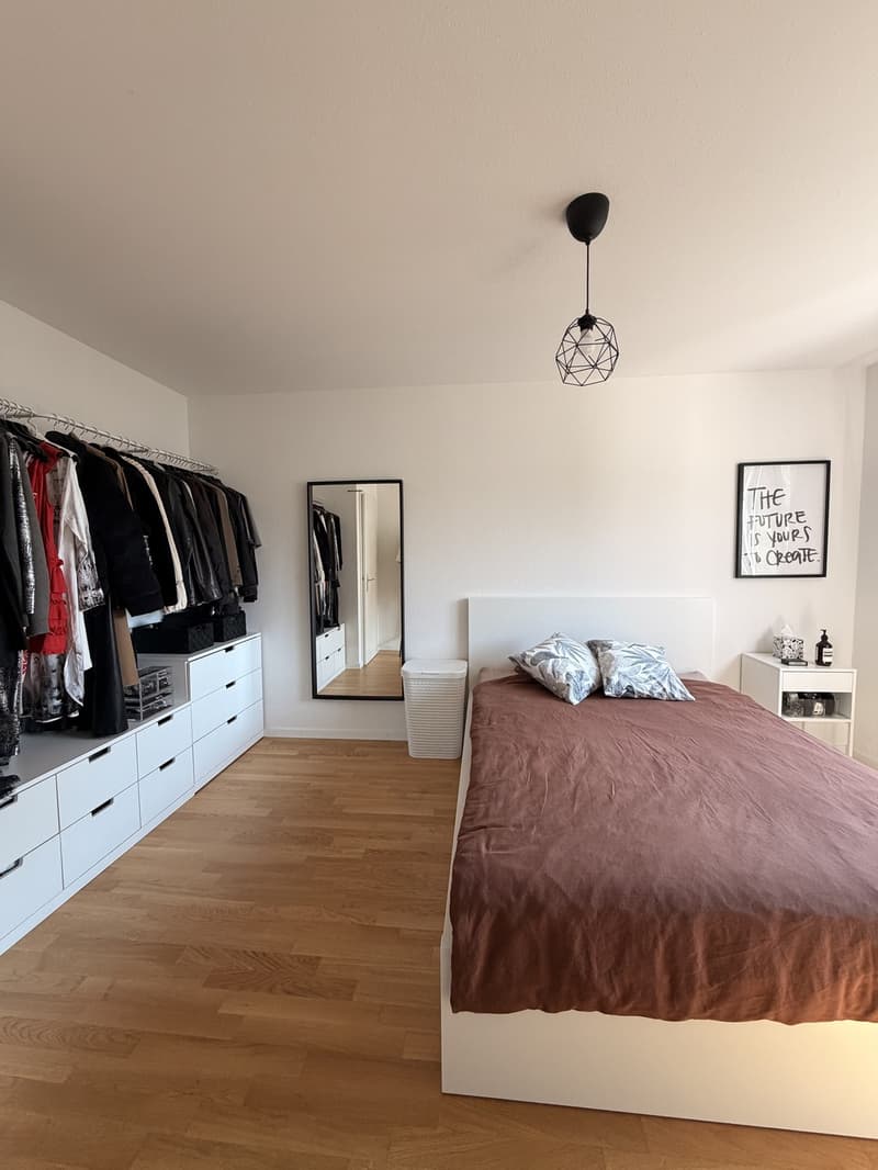 Cozy 2-room apartment with balcony and great view in Spreitenbach (4)