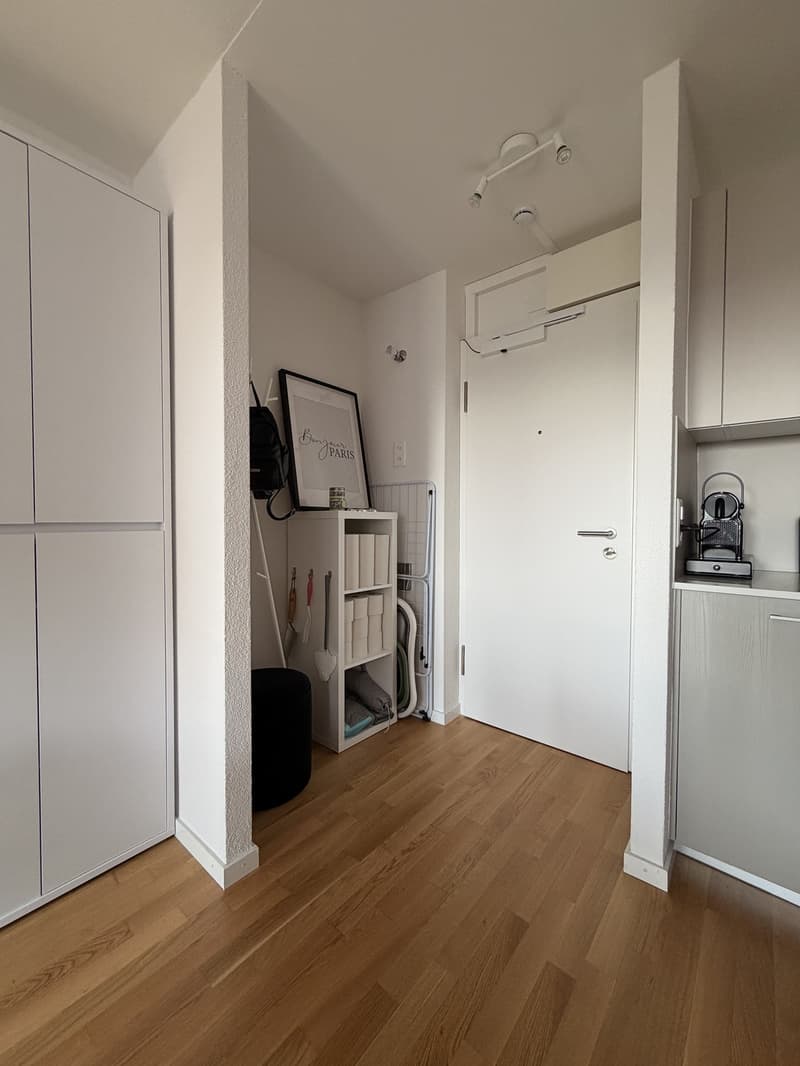 Cozy 2-room apartment with balcony and great view in Spreitenbach (2)