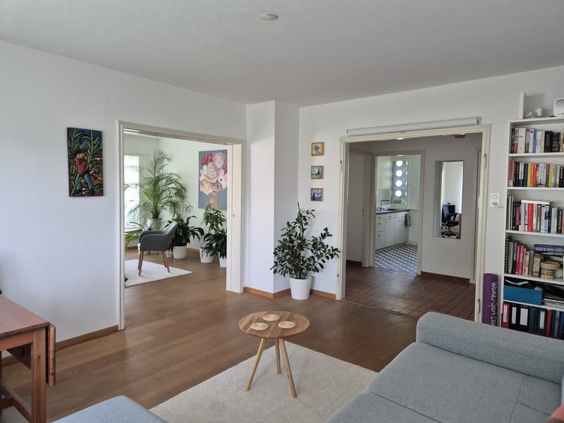 Bright Apartment in Zurich Wollishofen, as of mid-AUG (1)