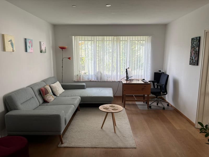 Bright Apartment in Zurich Wollishofen, as of mid-AUG (4)
