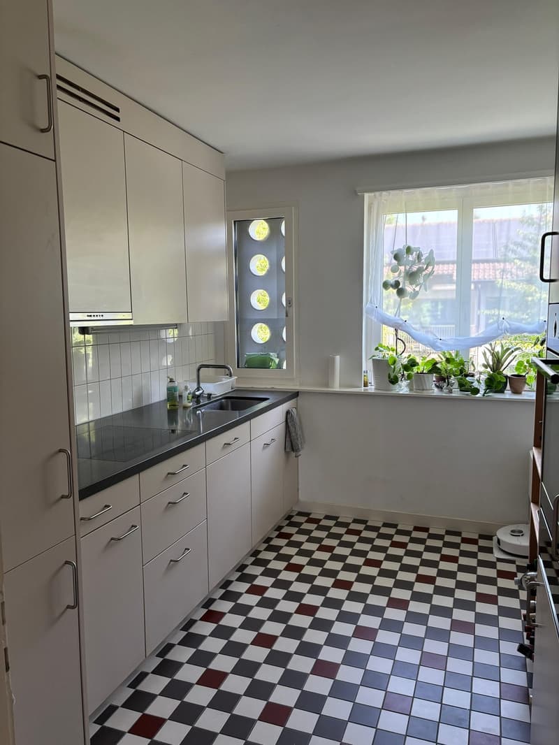 Bright Apartment in Zurich Wollishofen, as of mid-AUG (8)
