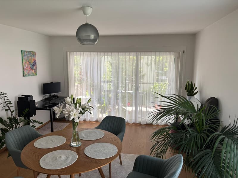 Bright Apartment in Zurich Wollishofen, as of mid-AUG (3)