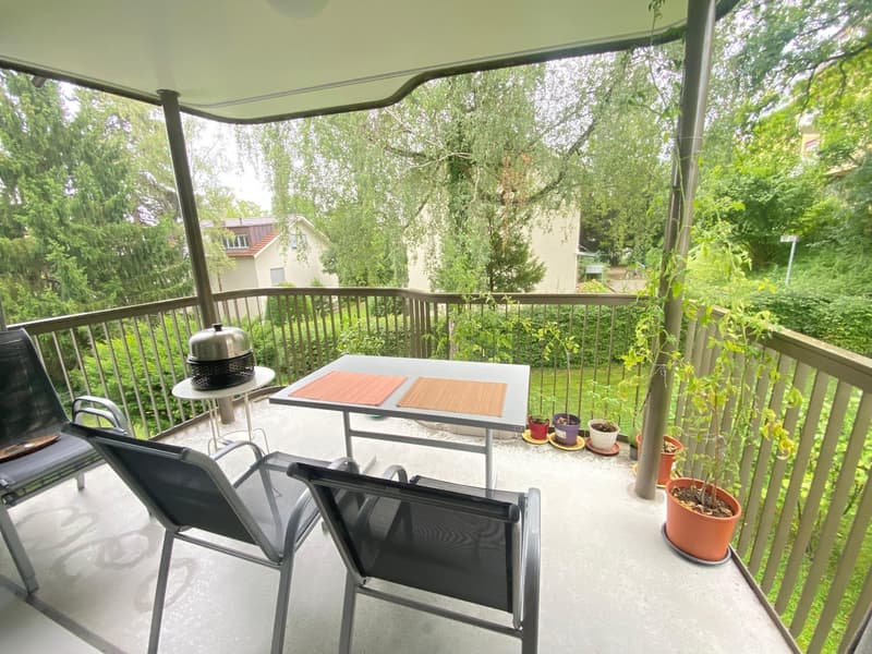 Bright Apartment in Zurich Wollishofen, as of mid-AUG (5)