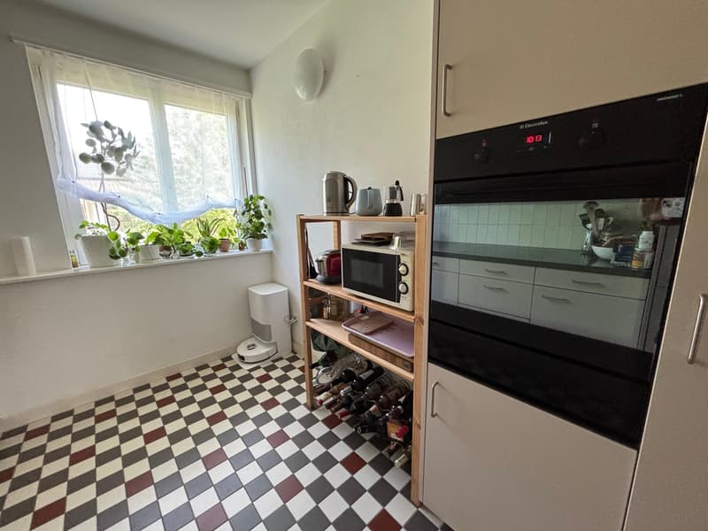 Bright Apartment in Zurich Wollishofen, as of mid-AUG (9)