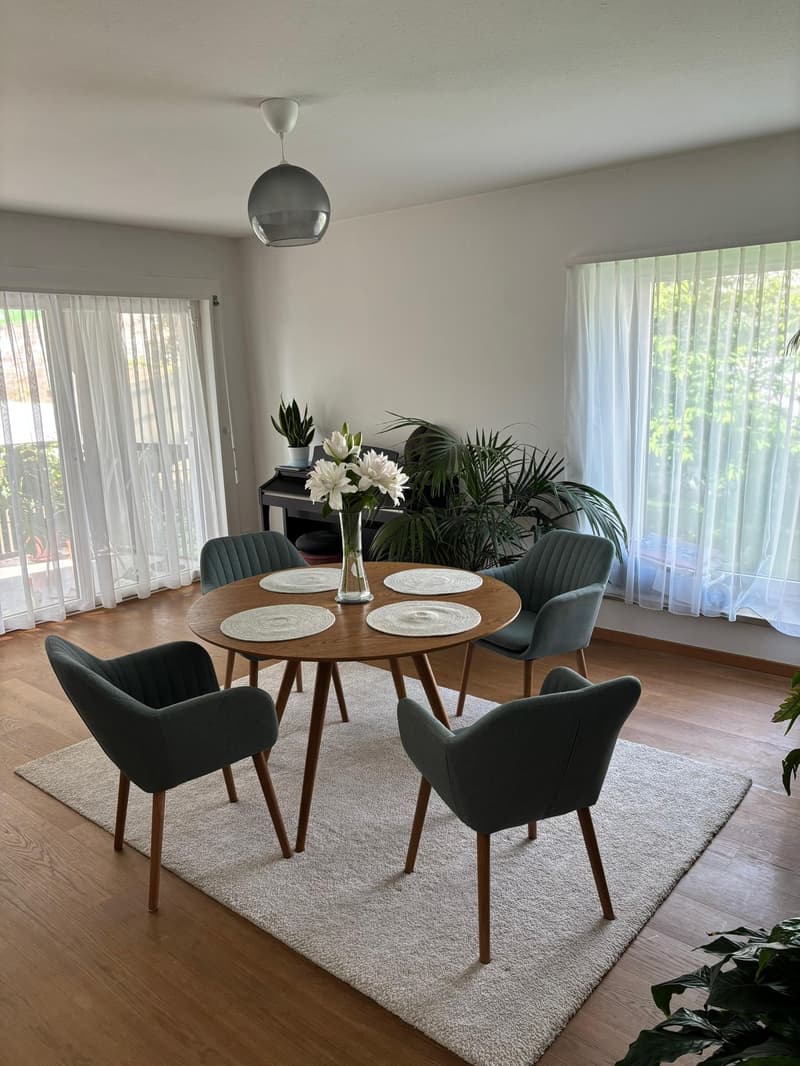 Bright Apartment in Zurich Wollishofen, as of mid-AUG (2)